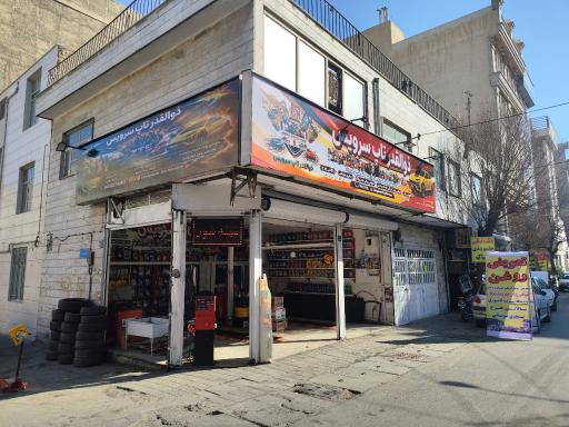 عکس ذوالقدر تاپ سرویس 