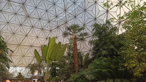 عکس باغ گلها