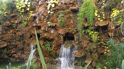 عکس باغ گلها