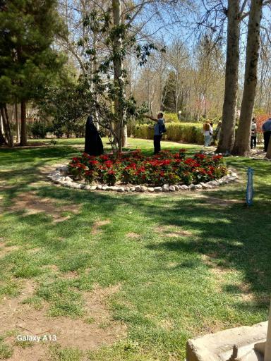 عکس باغ گلها