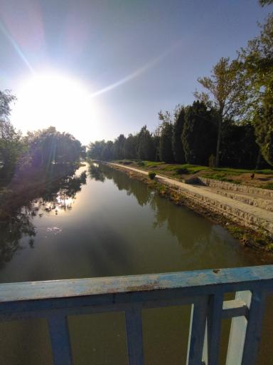 عکس باغ گلها