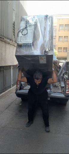 عکس باربری شاه محمدی