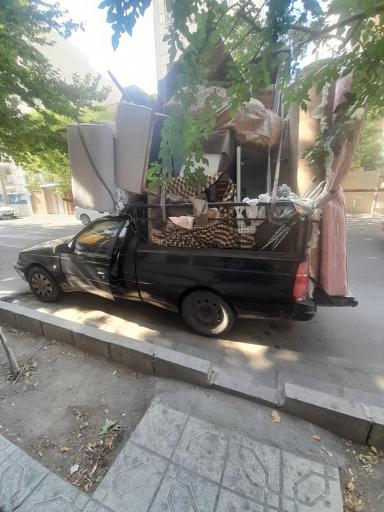 عکس باربری شاه محمدی