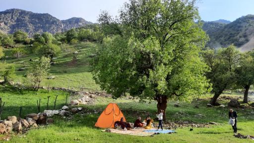 عکس گلستان کوه