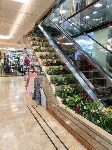 عکس مجتمع سینمایی ارامش رامسر