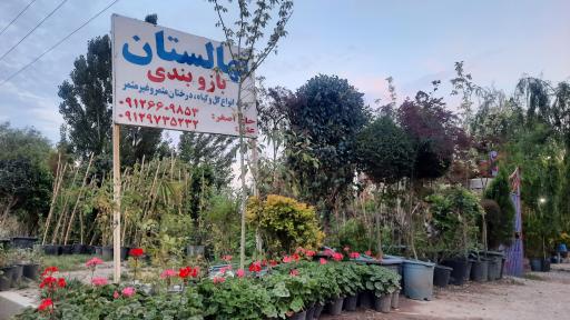 عکس مجتمع گل و گیاه بازوبندی