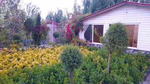 عکس مجتمع گل و گیاه بازوبندی