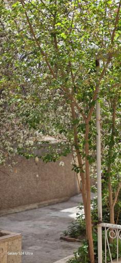 عکس سالن مطالعه شمس (دخترانه)