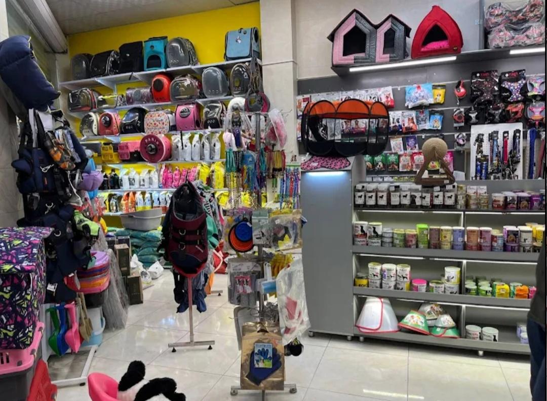 عکس پت شاپ تیله