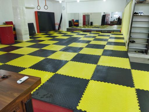 عکس باشگاه ژیمناستیک ذکوی 