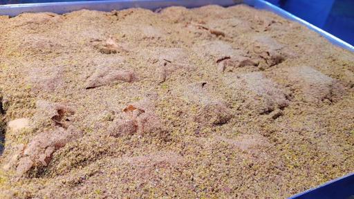 عکس باقلوا ترک تبریز