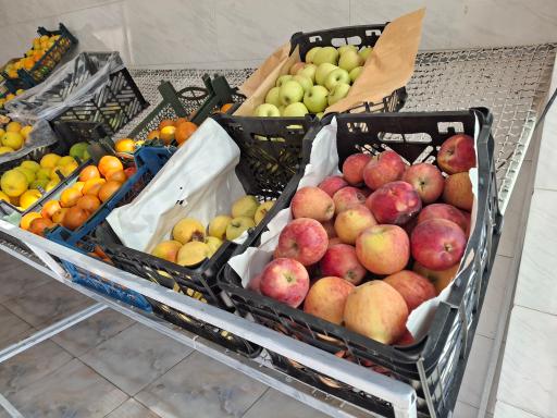 عکس میوه فروشی 