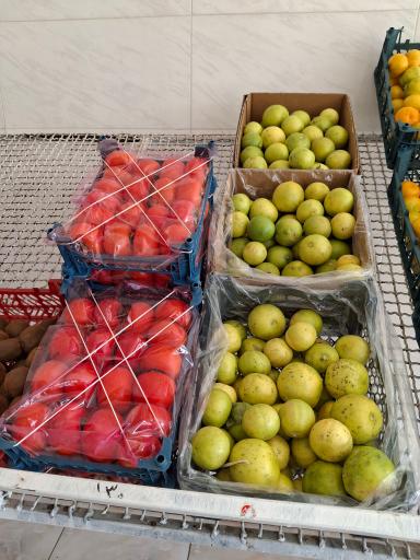 عکس میوه فروشی 