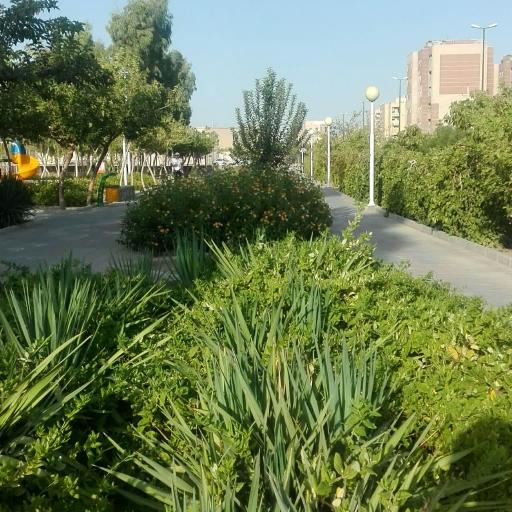 عکس بوستان 22 بهمن