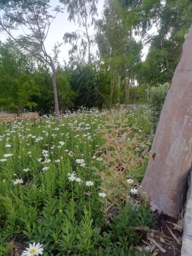 عکس بوستان 22 بهمن