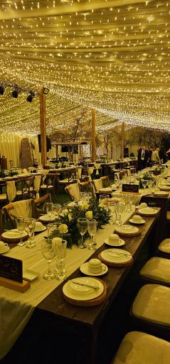 عکس باغ یاس (باغ عقد امیدوار)