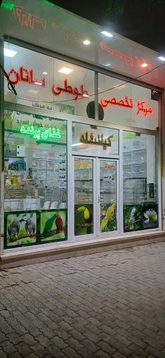 مرکز تخصصی طوطی سانان کیانشاه 