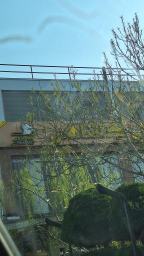 عکس رستوران گلشاهی دستک