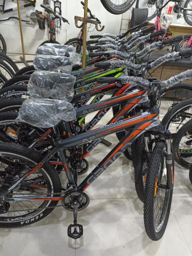 عکس فروشگاه دوچرخه حسین مدانلو