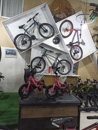 عکس فروشگاه دوچرخه حسین مدانلو