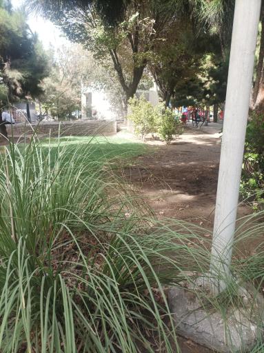 عکس پارک محله ای