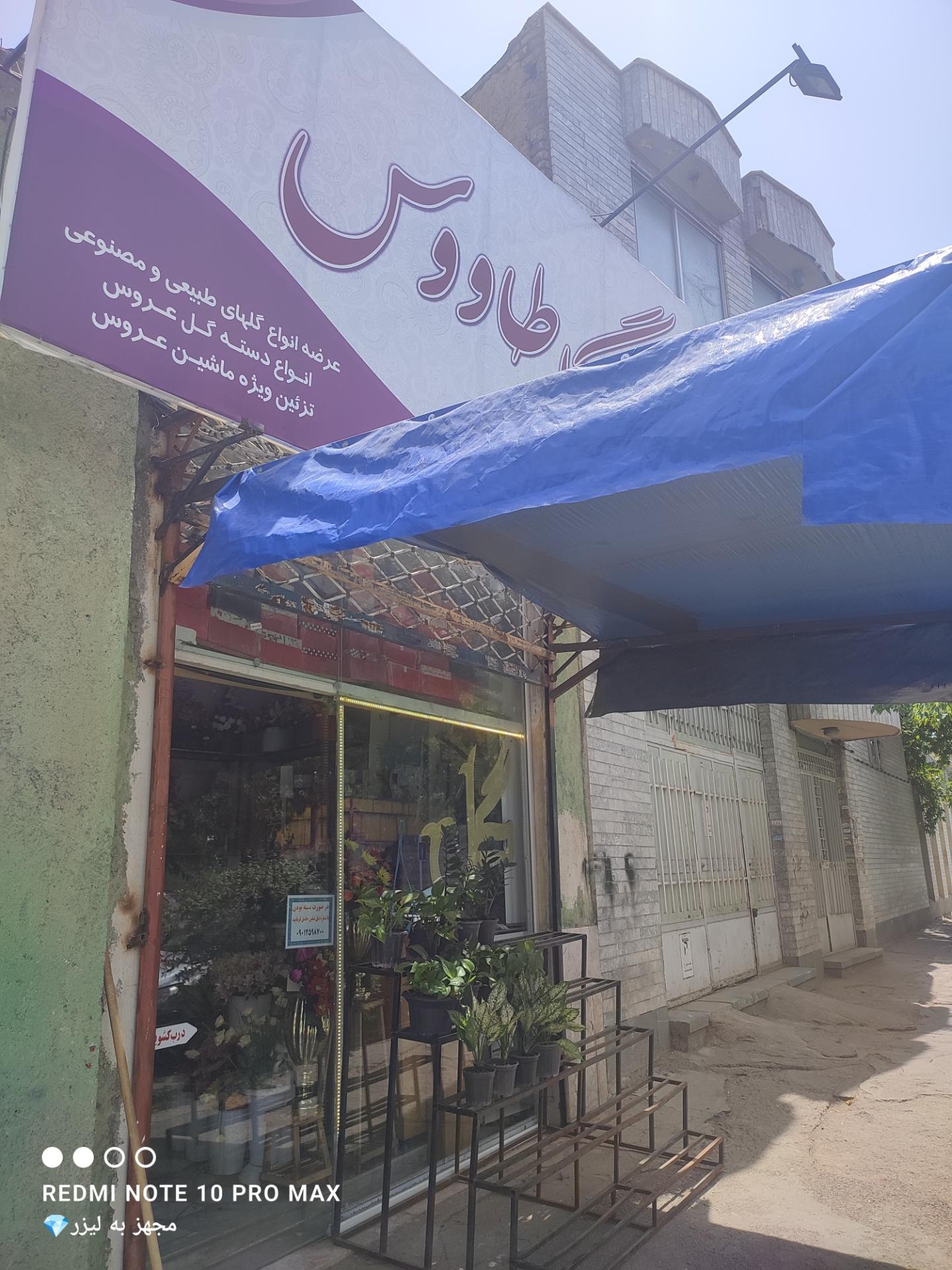 عکس گل‌فروشی طاووس 