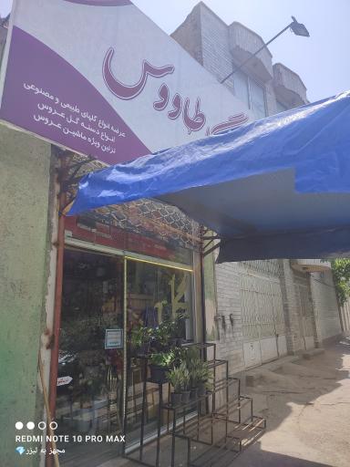 عکس گل‌فروشی طاووس 