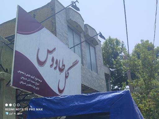 عکس گل‌فروشی طاووس 