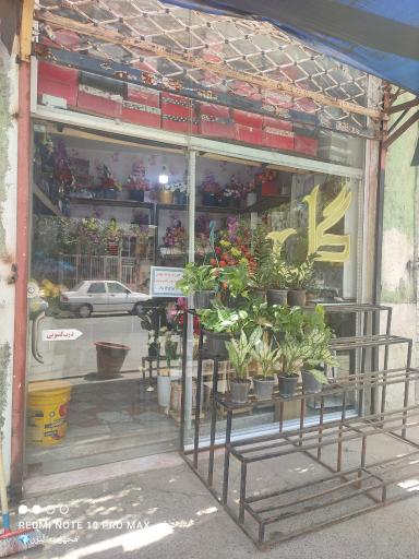 عکس گل‌فروشی طاووس 