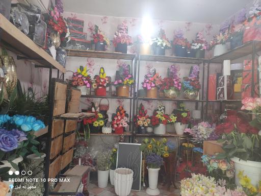 عکس گل‌فروشی طاووس 