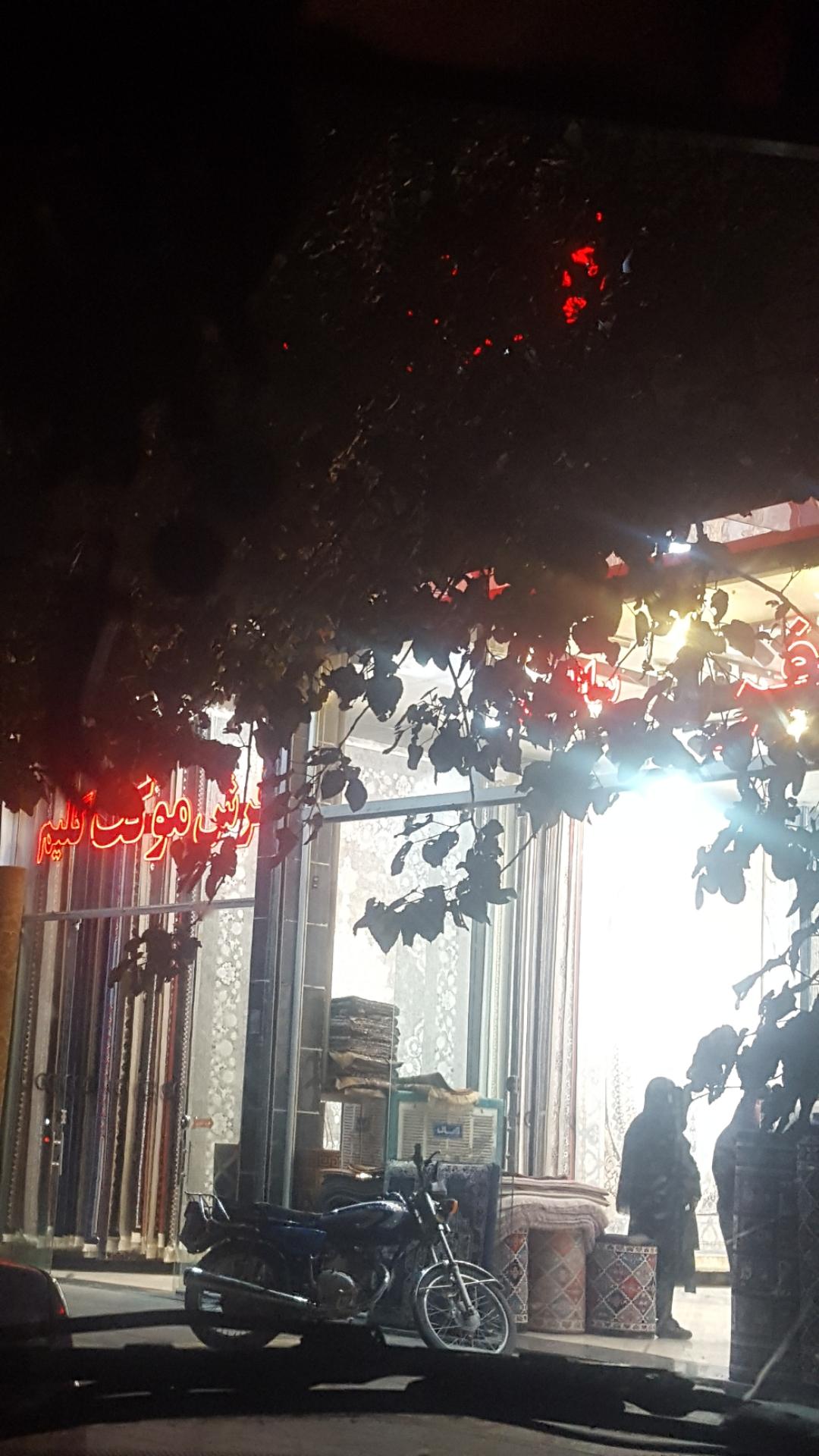 عکس فرش سالمی 