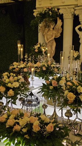 عکس باغ یاس (باغ عقد امیدوار)