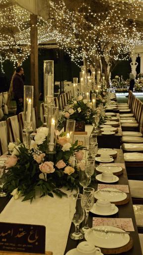 عکس باغ یاس (باغ عقد امیدوار)