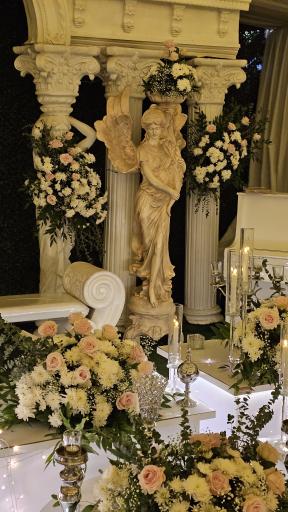 عکس باغ یاس (باغ عقد امیدوار)