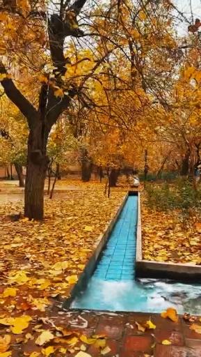 عکس باغ گلاریس