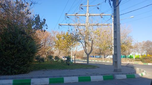 عکس بوستان شیرازی