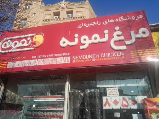 عکس مرغ نمونه