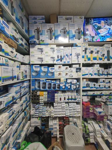 عکس آکواریوم پارس