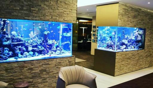 عکس آکواریوم پارس