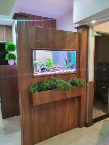 عکس آکواریوم پارس