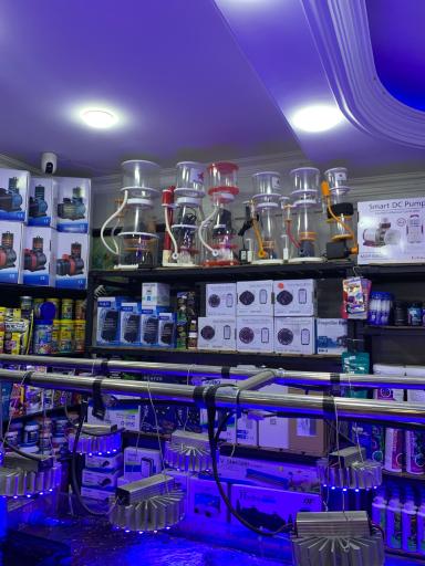 اکواریوم ریف2ریف ایرانی