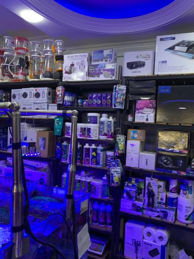 اکواریوم ریف2ریف ایرانی