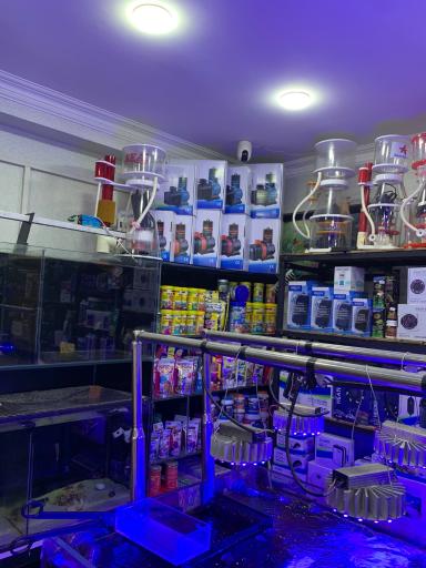 اکواریوم ریف2ریف ایرانی