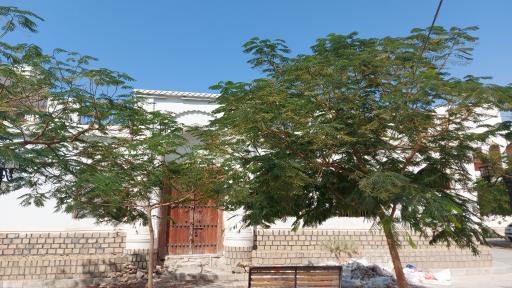 عکس مجلسی شیخ حسن آل عصفور