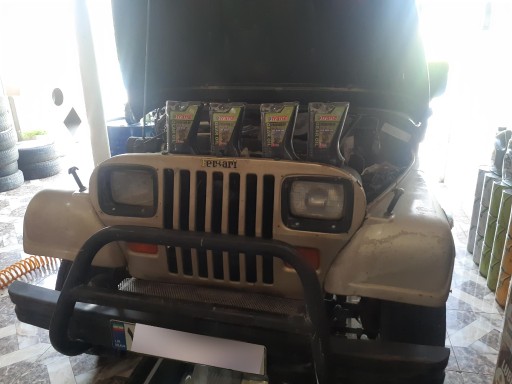 عکس اتوسرویس شیرازی