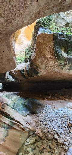 عکس تنگه شو تاریکو