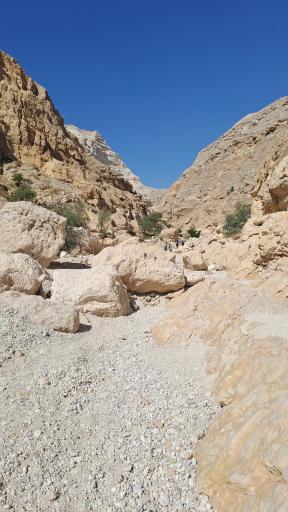 عکس تنگه شو تاریکو