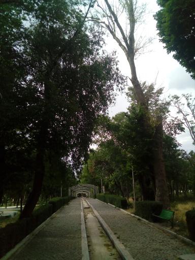 عکس پارک جنگلی سرچشمه