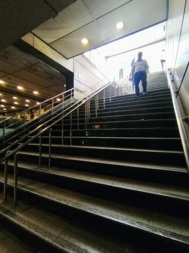 عکس میرداماد