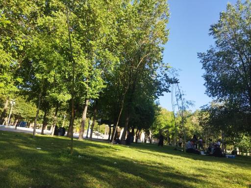 عکس پارک جنگلی سرچشمه